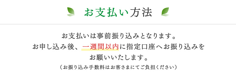 お支払い方法
お支払いは事前振り込みとなります。お申し込み後、一週間以内に指定口座へお振り込みをお願いいたします（お振り込み手数料はお客さまにてご負担ください）。